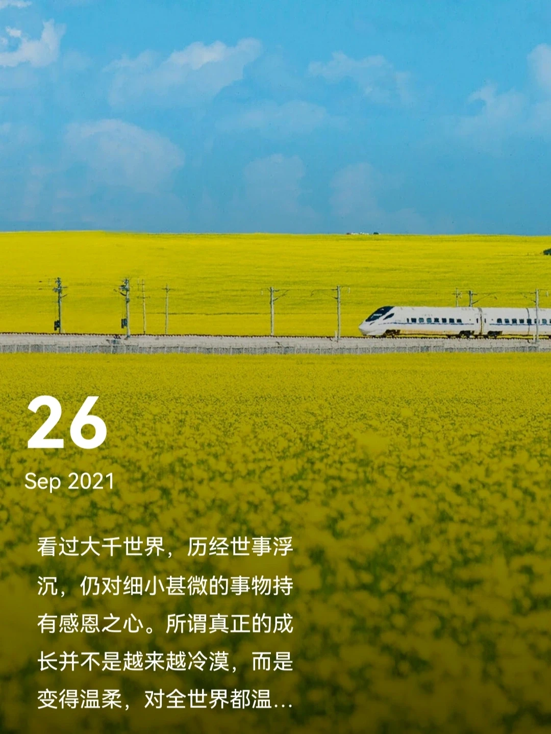 所谓成长，不过历经万物