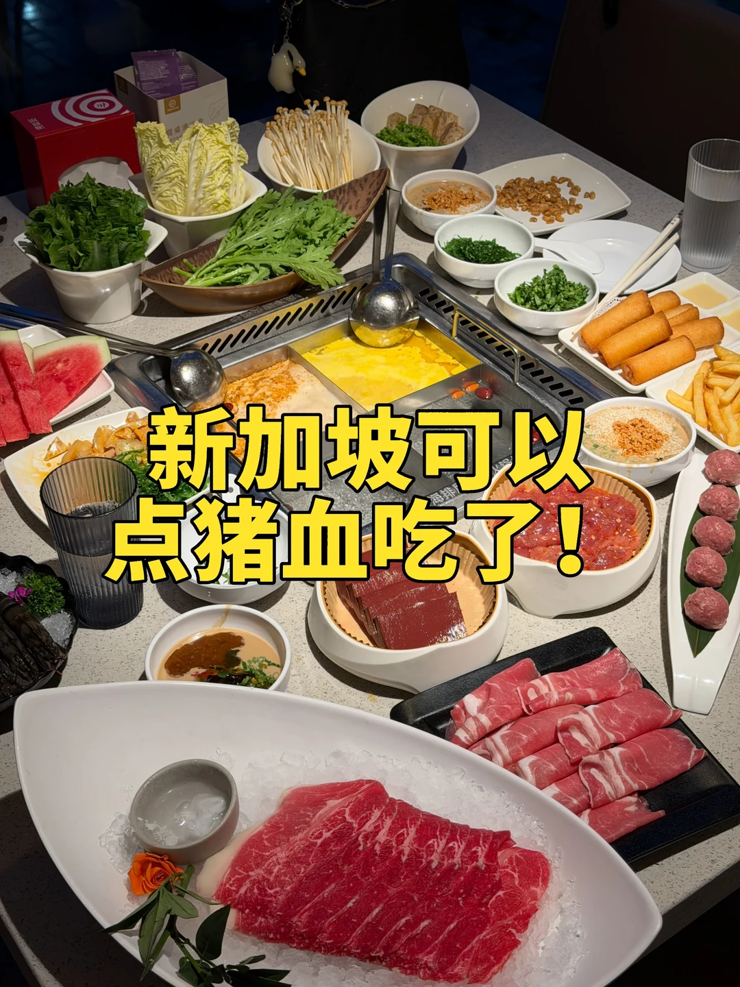 🇸🇬借世界杯光，某捞最近真的划算到献初吻