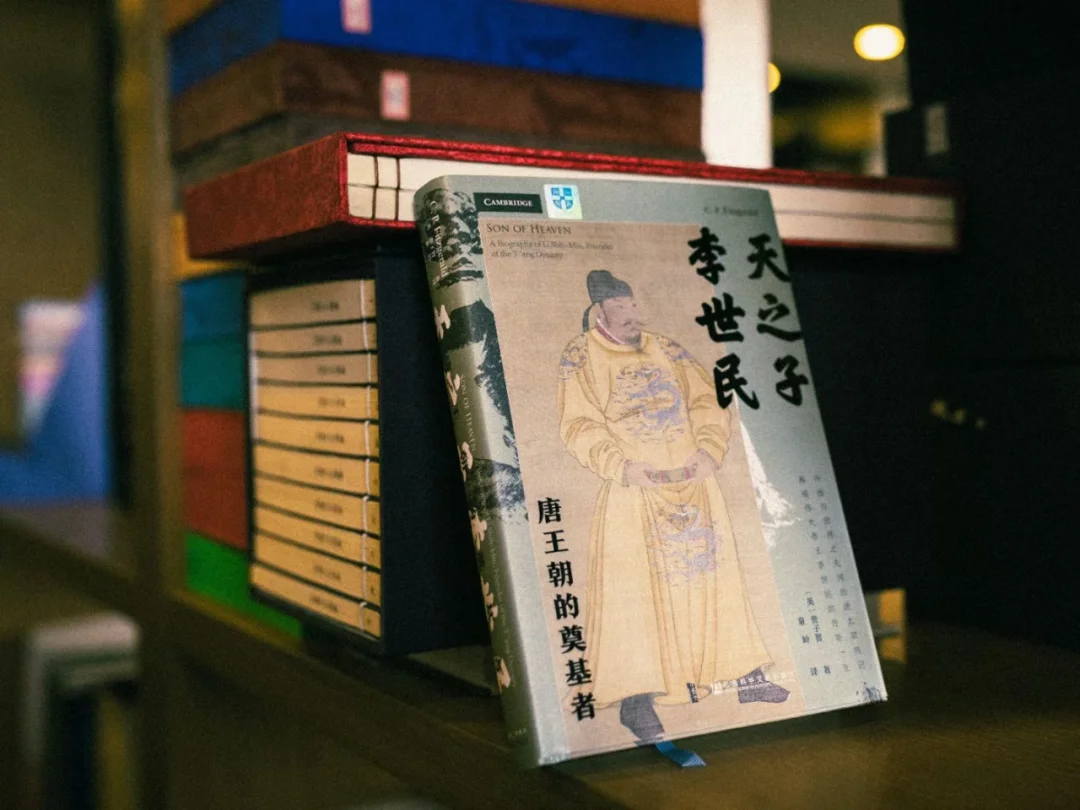 甲骨文新书，天之子李世民！