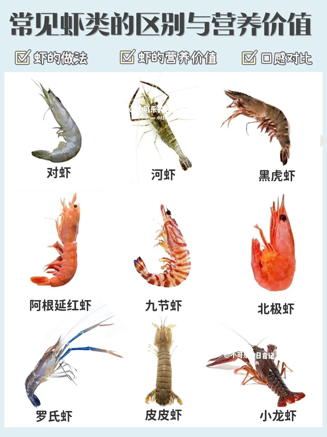 常见虾的区别🦐营养价值与做法｜一张图看懂