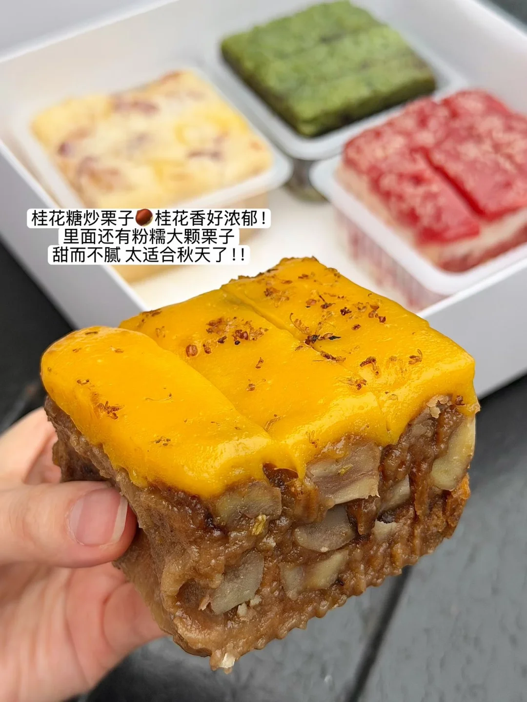 上海不愧是糕都！！！（糖炒栗子糯叽叽！！！