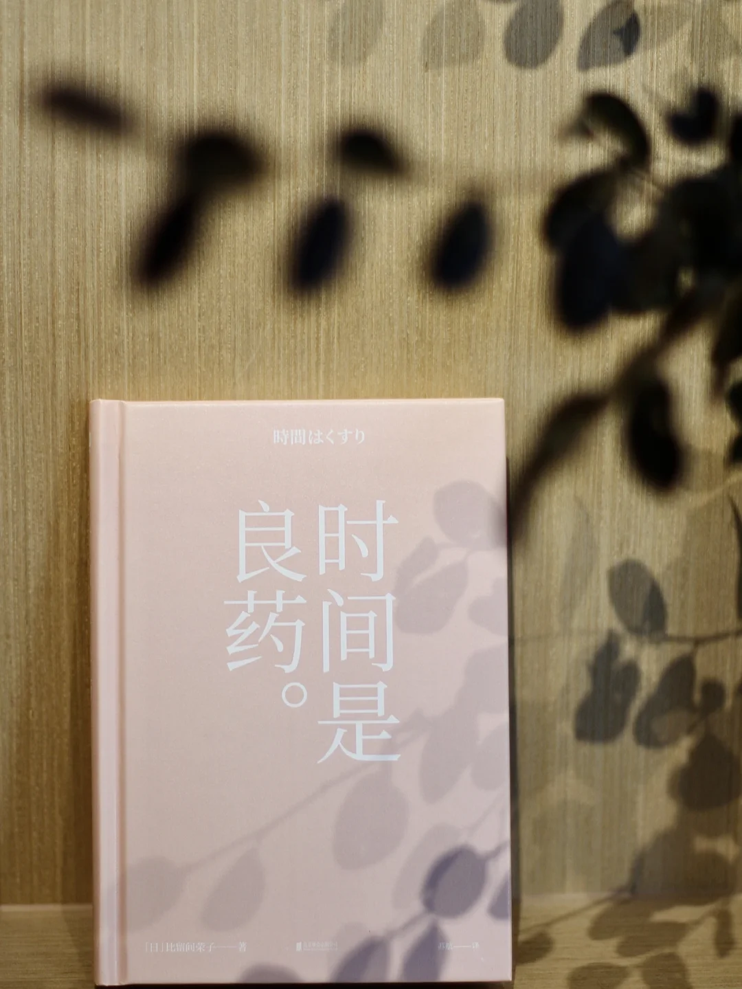 不想工作，看看这位96岁仍工作的荣子奶奶！