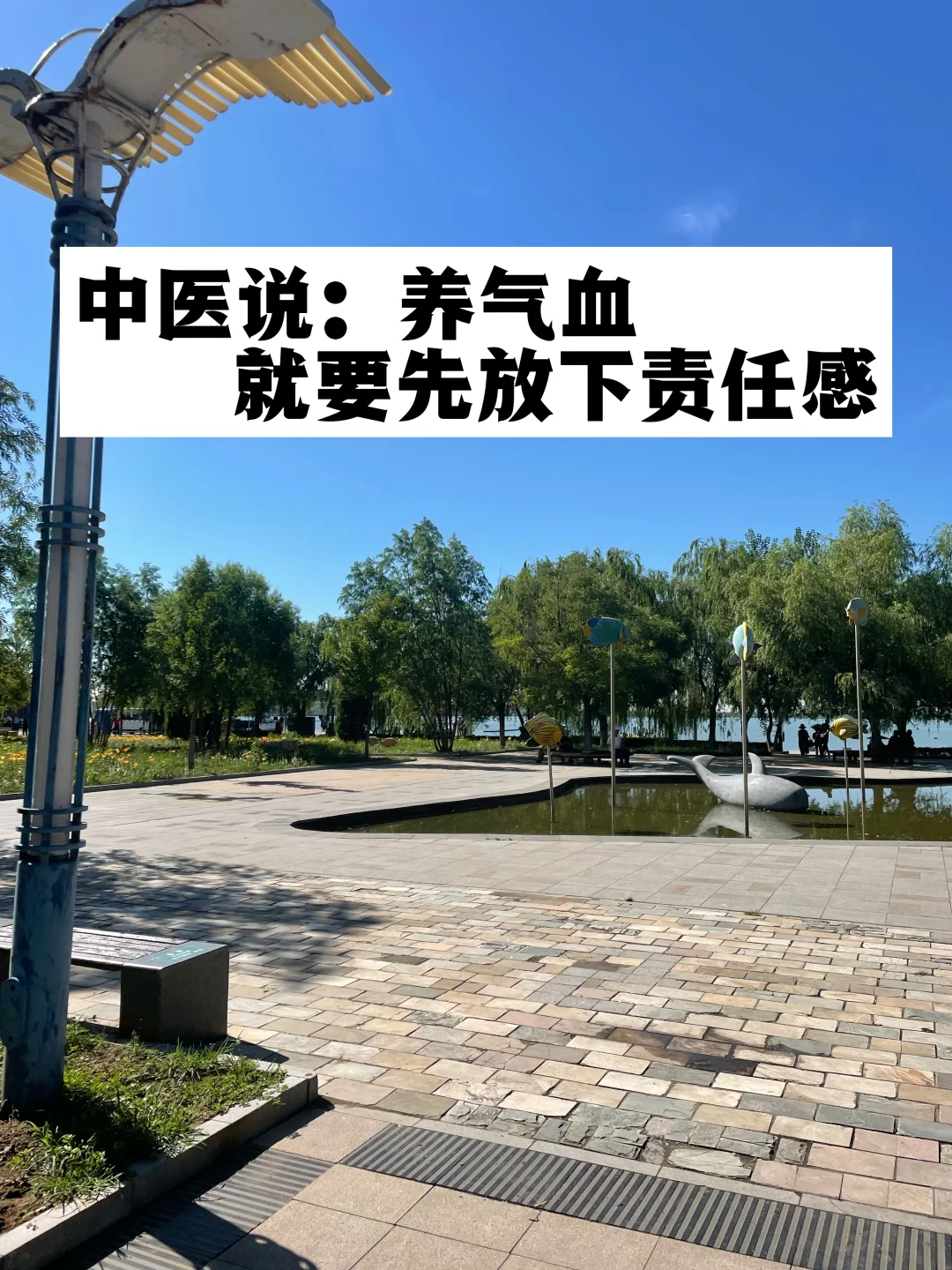 中医说：养气血，就要先放下过度的责任心.