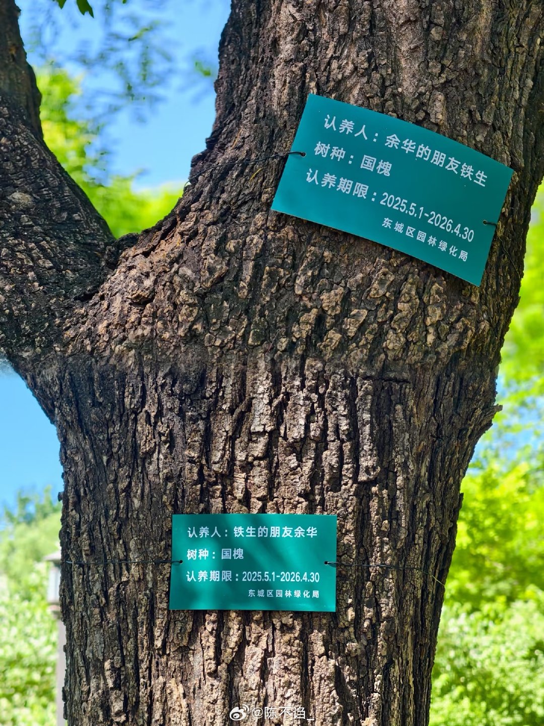 最近在看《我家那闺女》，真的很感慨和羡慕黄灿灿跟罗予彤之间的友谊，这么多年没有走丢且仍旧这么要好，真好！加上最近又在看《我的天才女友》，我觉得人生中可以遇到这样同行的人真的是太幸运了。 ​