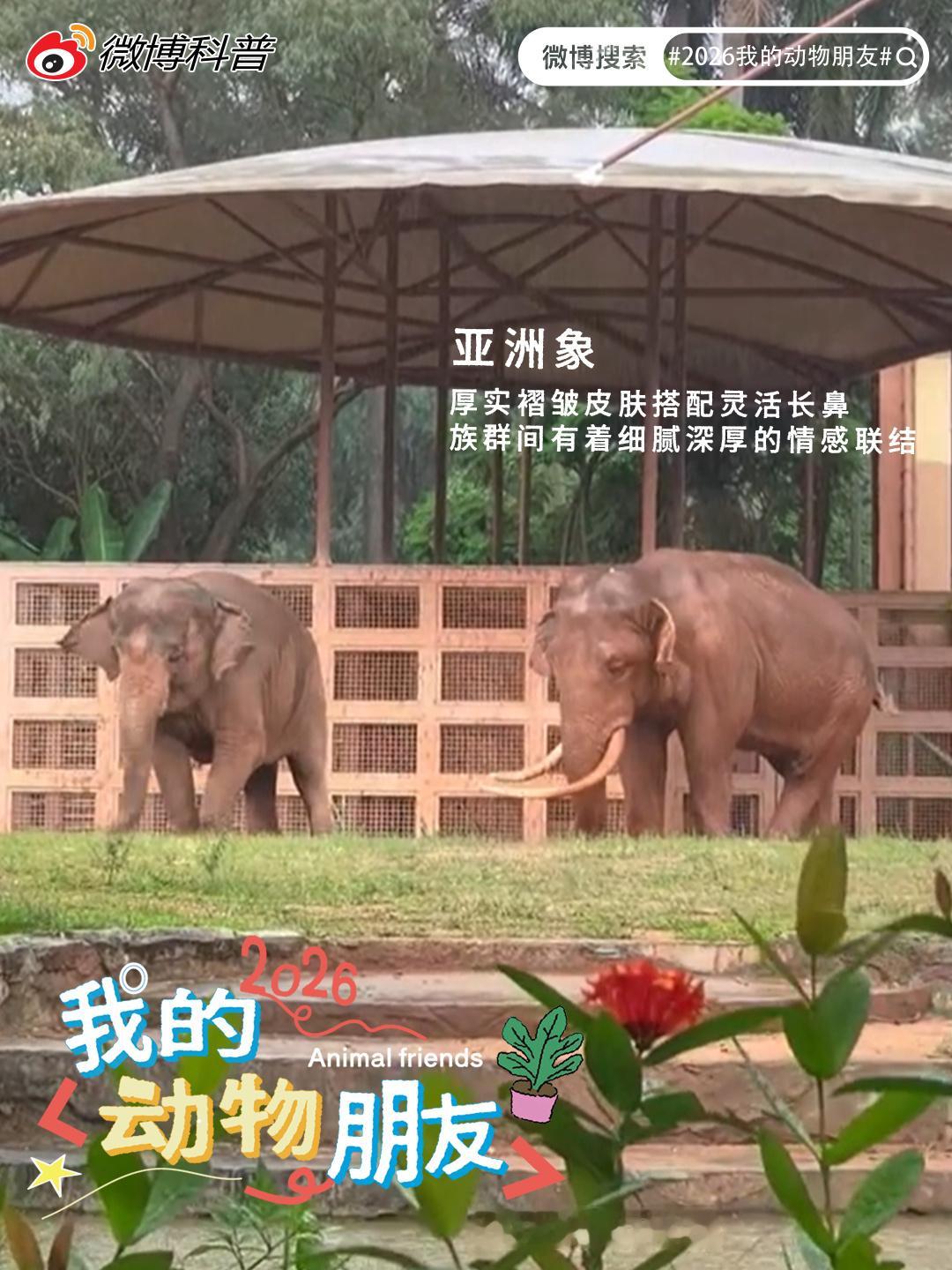 宝藏精选第六十二期 天地万物各有灵动模样，镜头替我们留住这些转瞬即逝的...
