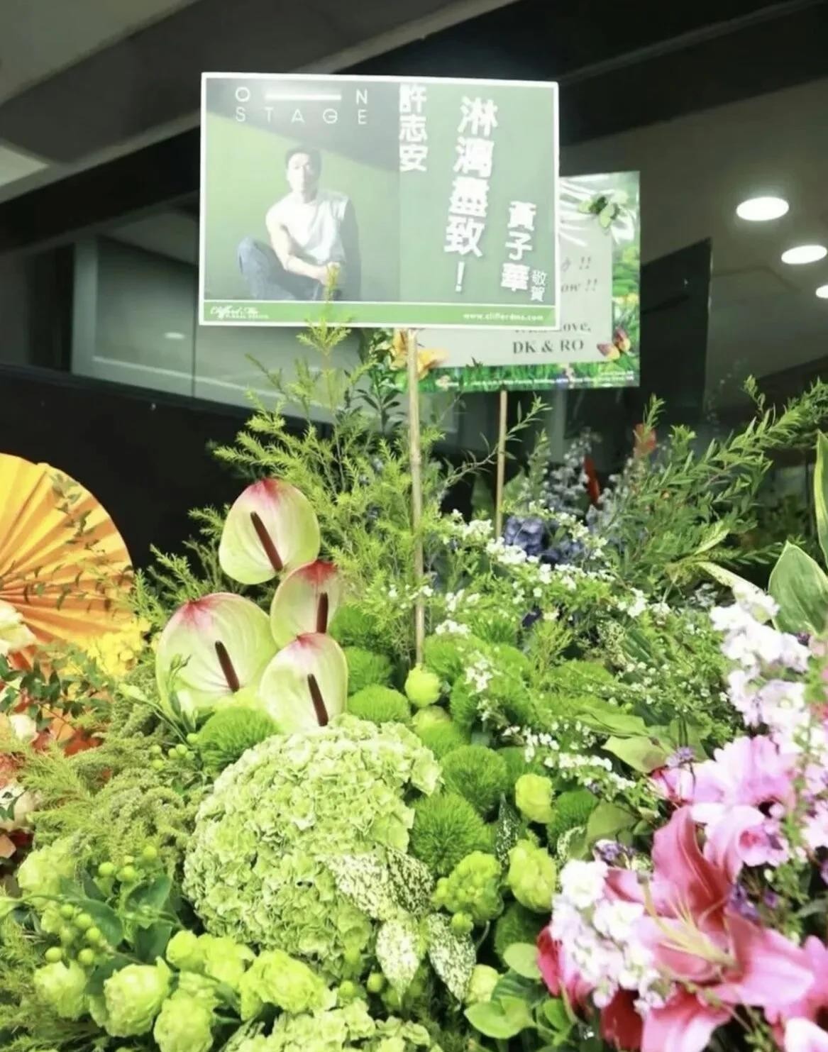 许志安59岁红馆复出，黄子华送的那篮绿花比演唱会本身还会说话。现场红馆灯光一亮，老友花篮排了一排，可镜头偏偏总往那片绿油油上怼。他和郑秀文十几年交情，安心事件后陪她聊人生讲笑话把人从泥里拉出来，这回送花，明面是新起点祝福，暗面是谁都看得懂的护短。大家不是非要脑补阴谋，是太清楚郑秀文那些年怎么熬过来的