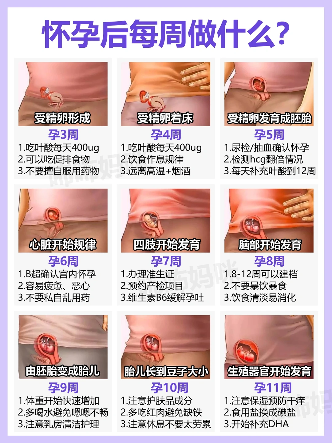 【孕期必备】怀孕后每周做什么 照做不迷茫