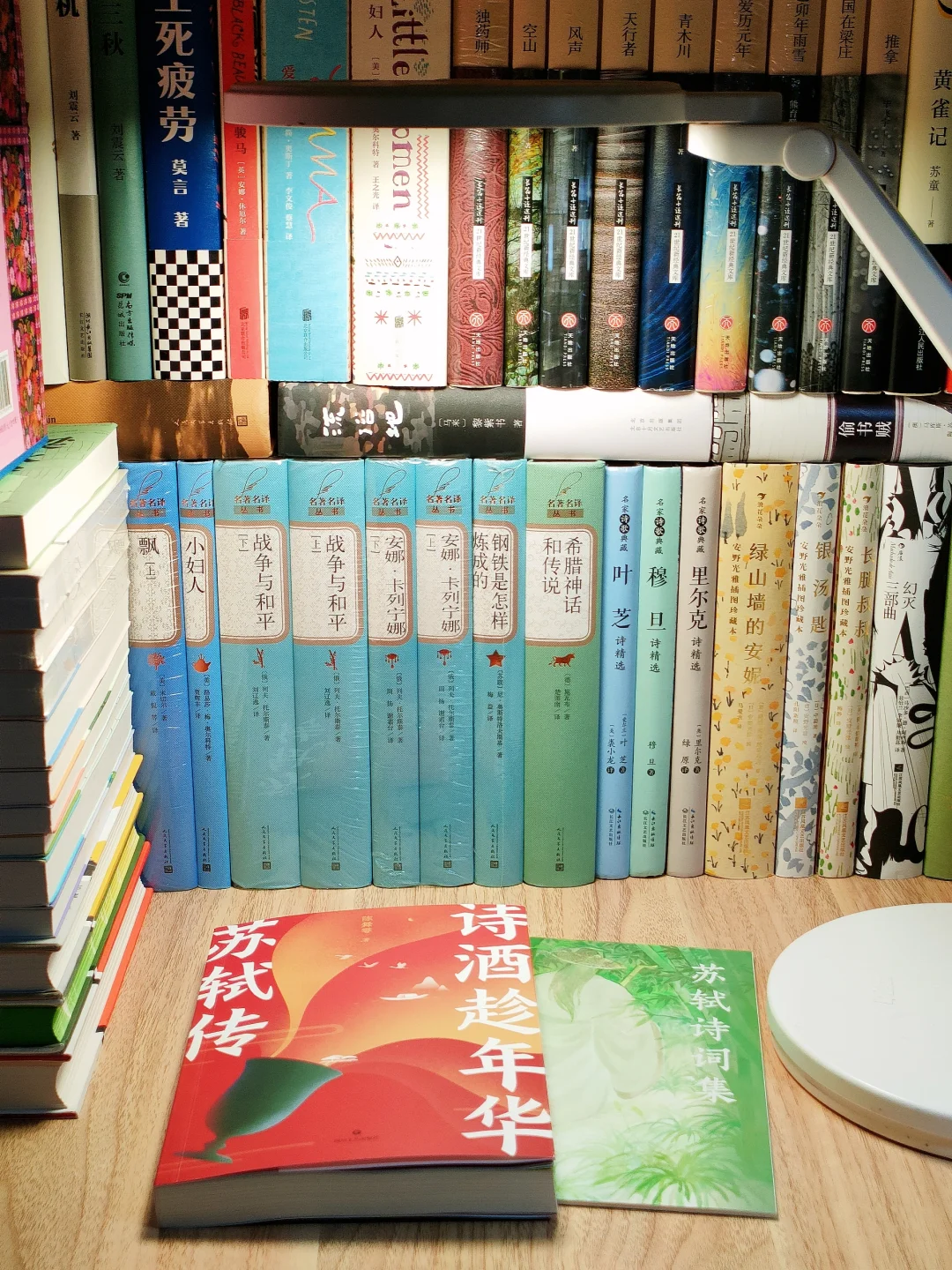 真后悔没早点读苏东坡😭恨不得全书划线