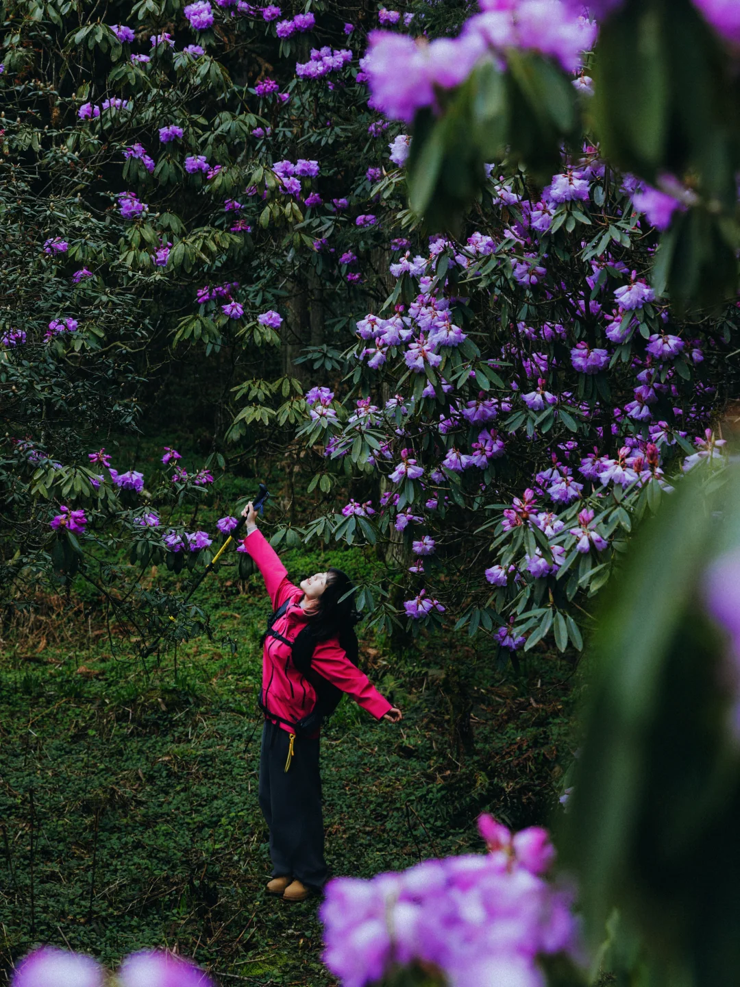 超简单❗❗❗徒步赏花，拍照📸姿势，拒绝尴尬