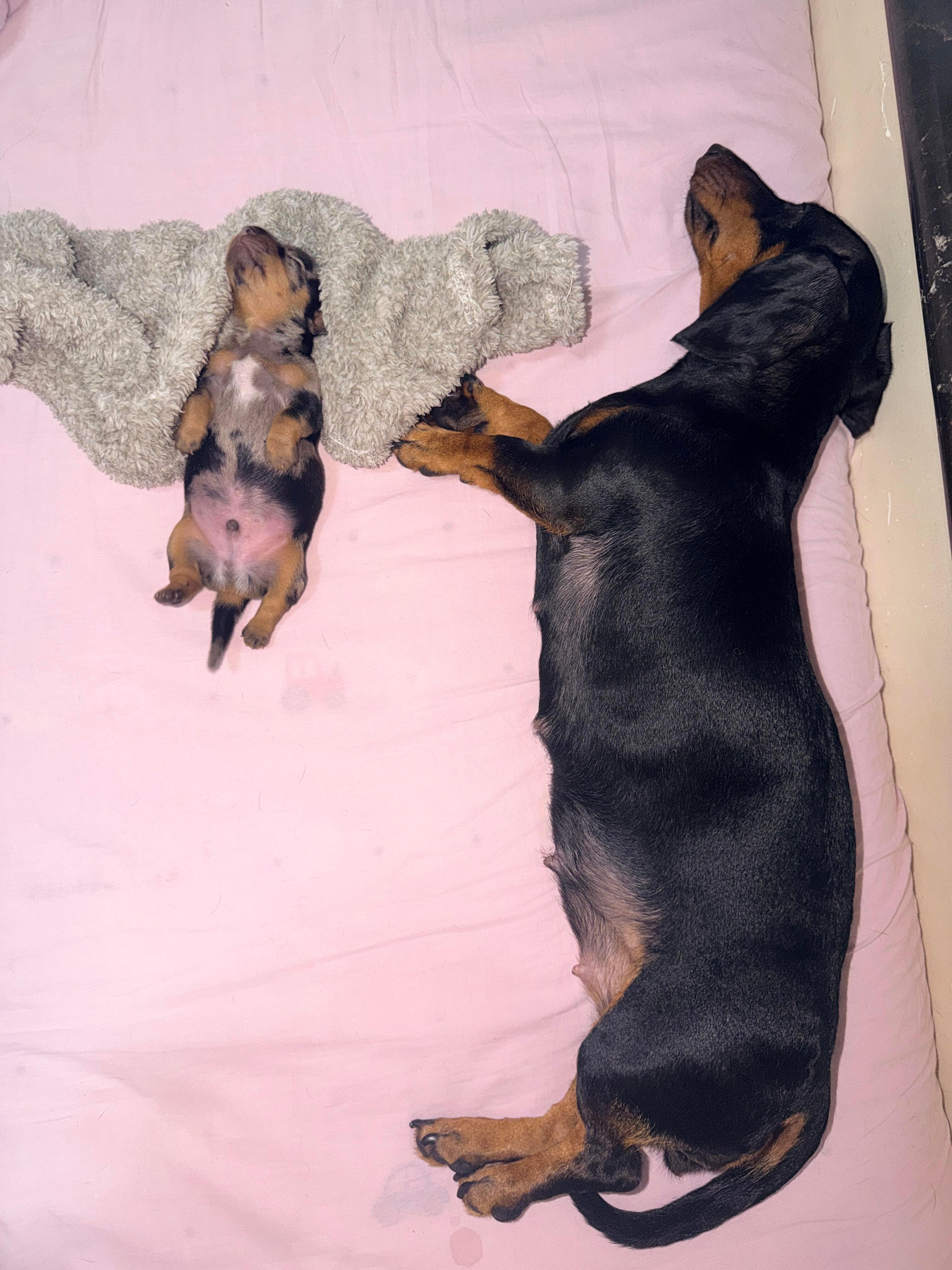独生子的待遇 ​​​
