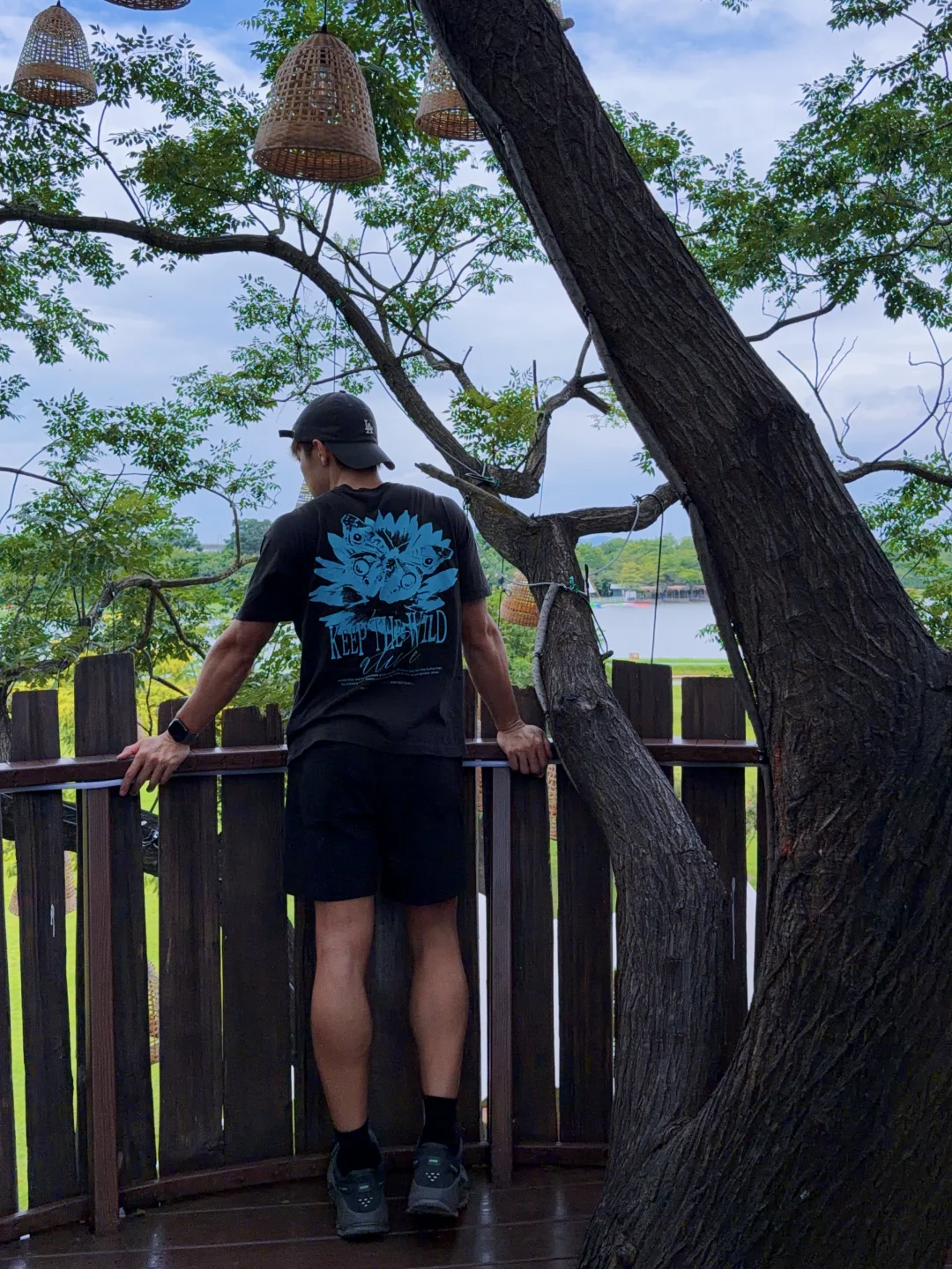 出门看个绿意盎然的树屋🌳