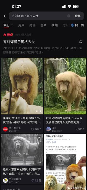 以前第一次去广州动物园的时候还和人一起去找过它 可惜没有看到  再次?...