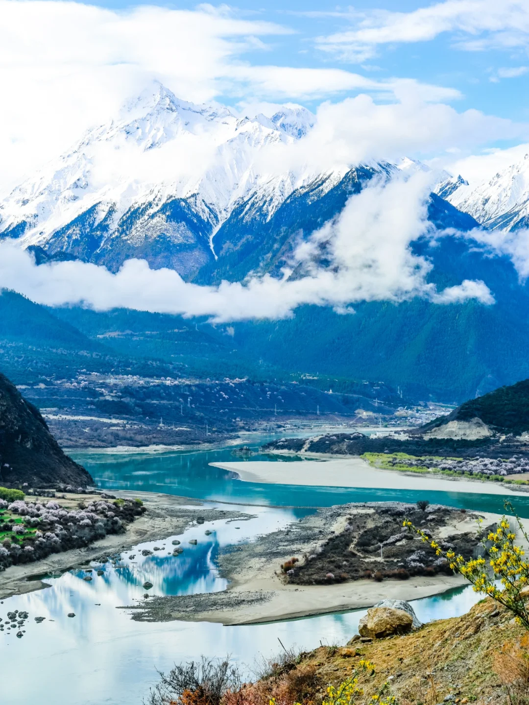 春季里醉值得期待的风景