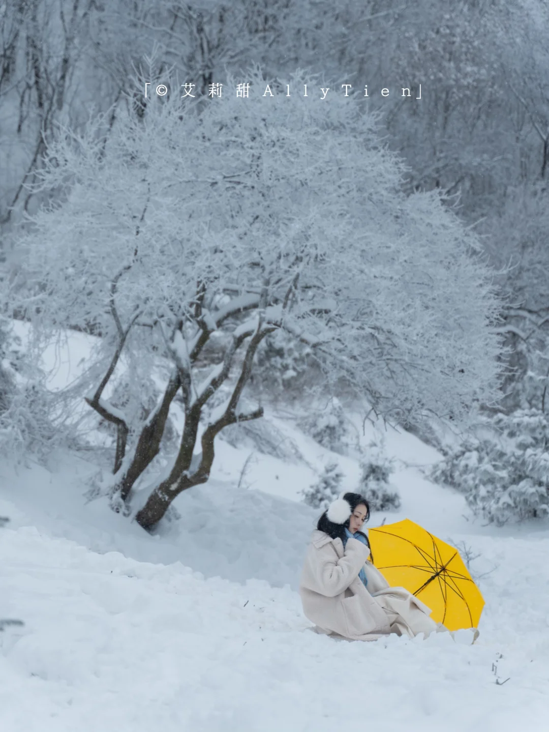 一下雪，秦岭就美成了仙境❄️原图直出技巧