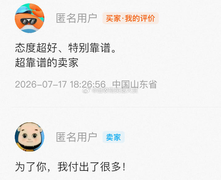 8508【最窝囊的一集】买资料结果没有我要的，卖家自费另买了一份资料...