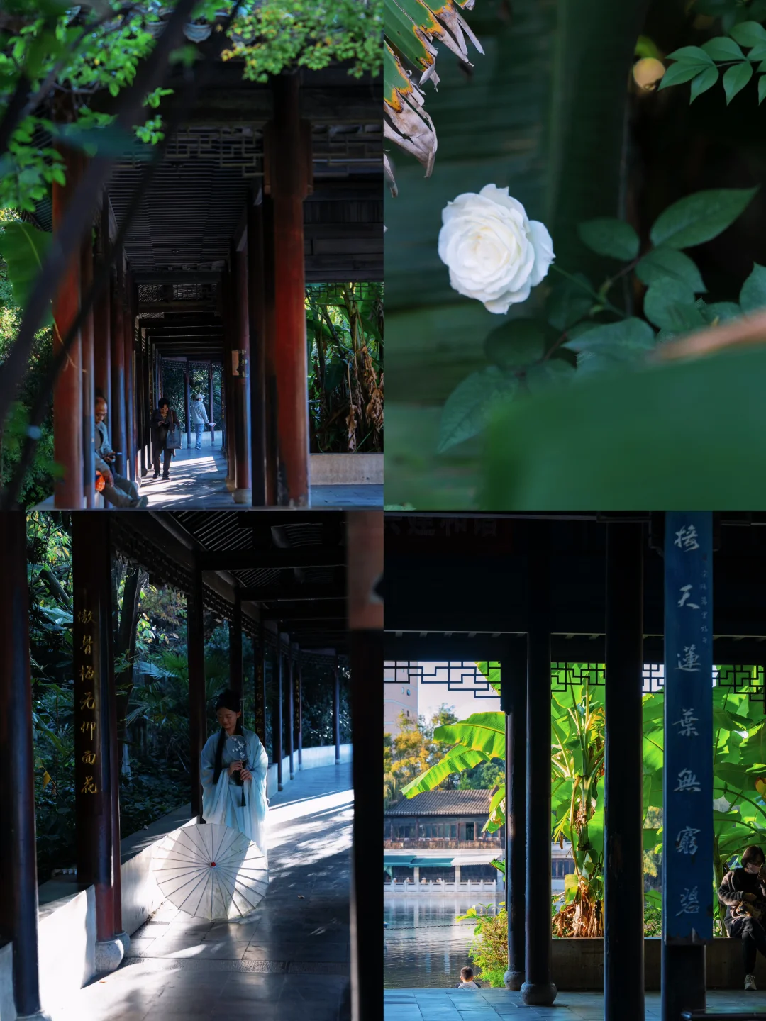 除了翠湖，市区Zui爱逛的小而美公园🍁