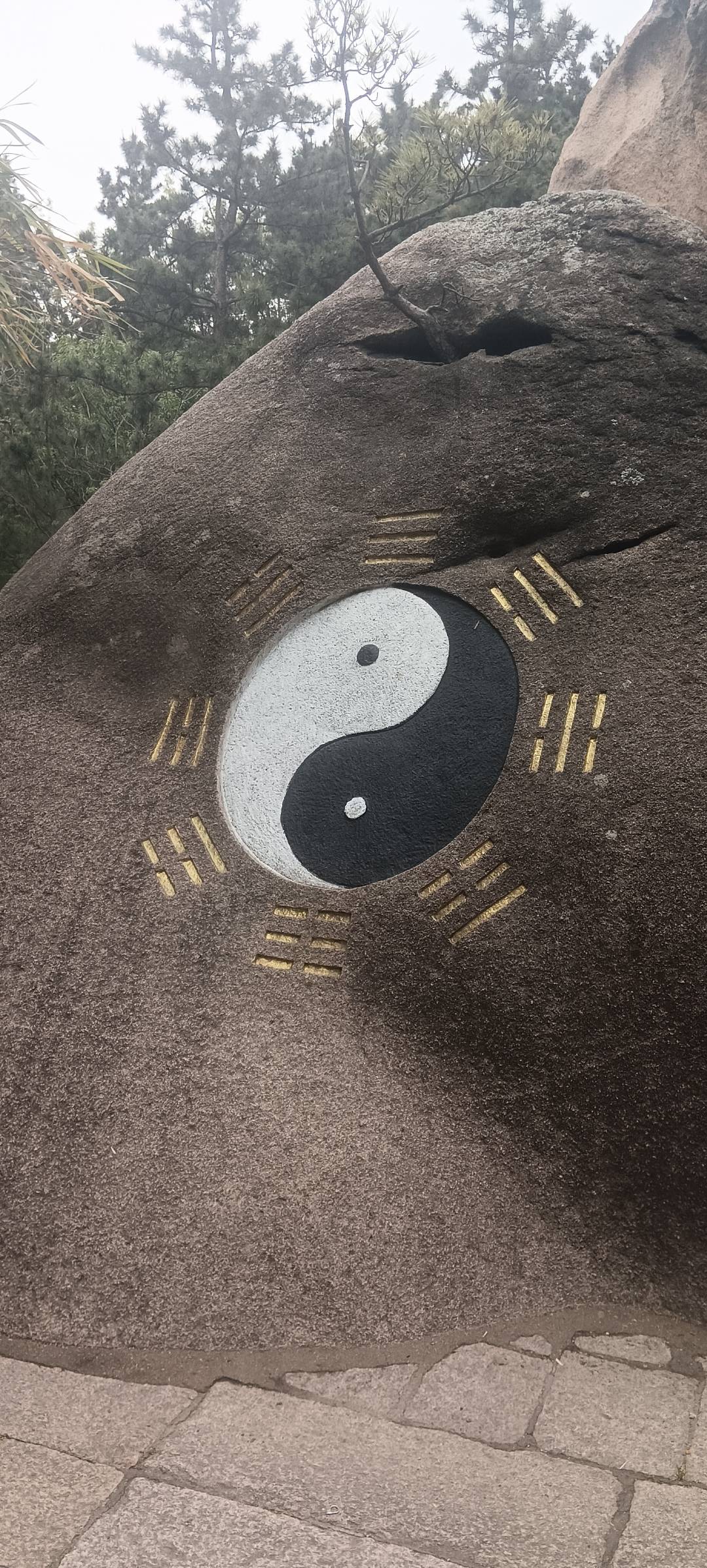 谁是你心中的乒乓球明星 要说我心中的乒乓球明星，那非马龙莫属。他可是乒乓球界神一般的存在，被大家称为“六边形战士”，实力那叫一个全面，没有短板。
他拿过 5 次世乒赛冠军、2 次奥运会冠军。2020 东京奥运会，马龙在男单决赛中，以 4:2 击败对手，成功卫冕，这实力太恐怖了。赛场上，他眼神坚定，每