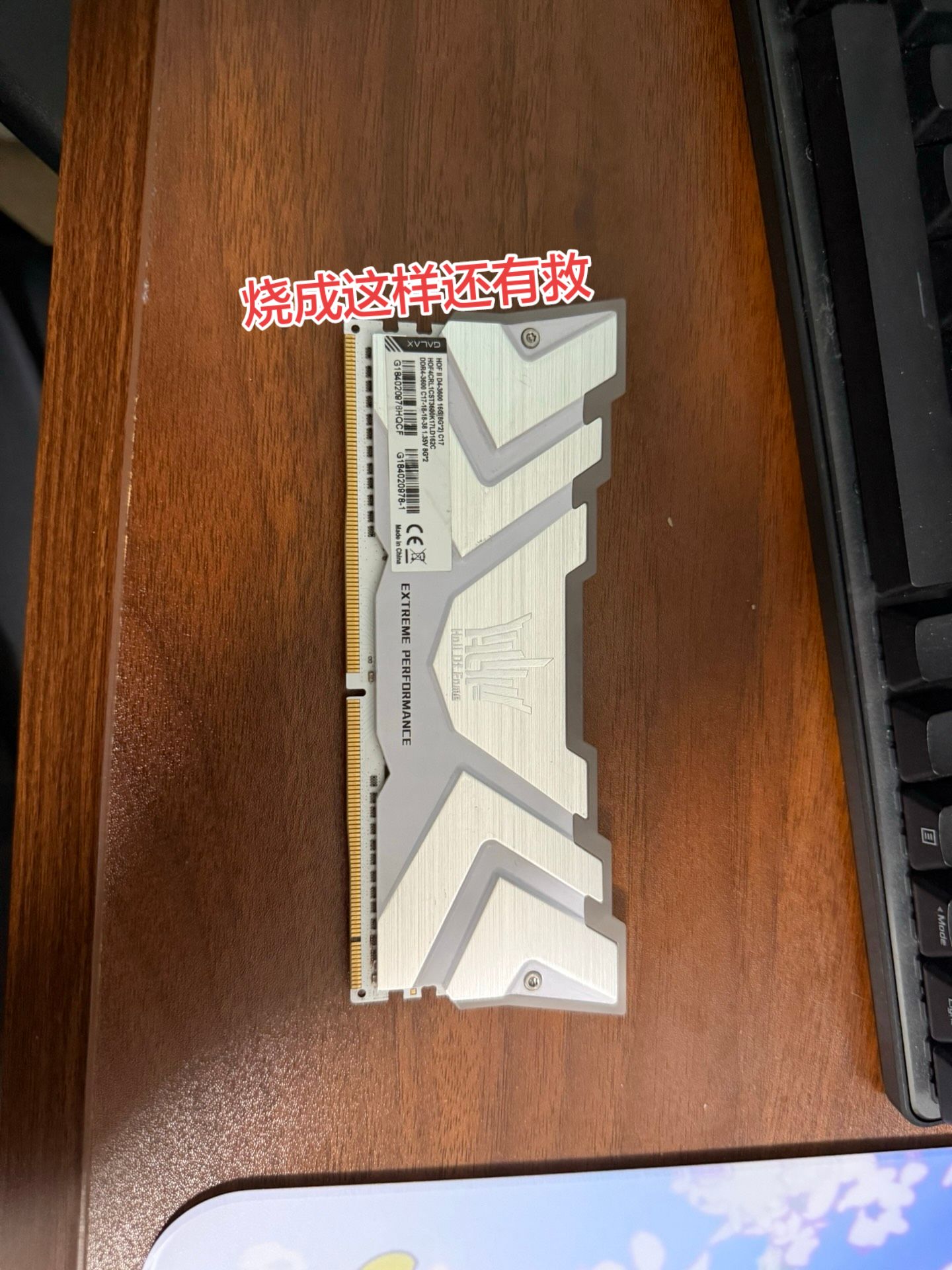 内存条DDR5这样就报废了3500没了内存条 高频率内存条 电脑拆机 电脑硬件