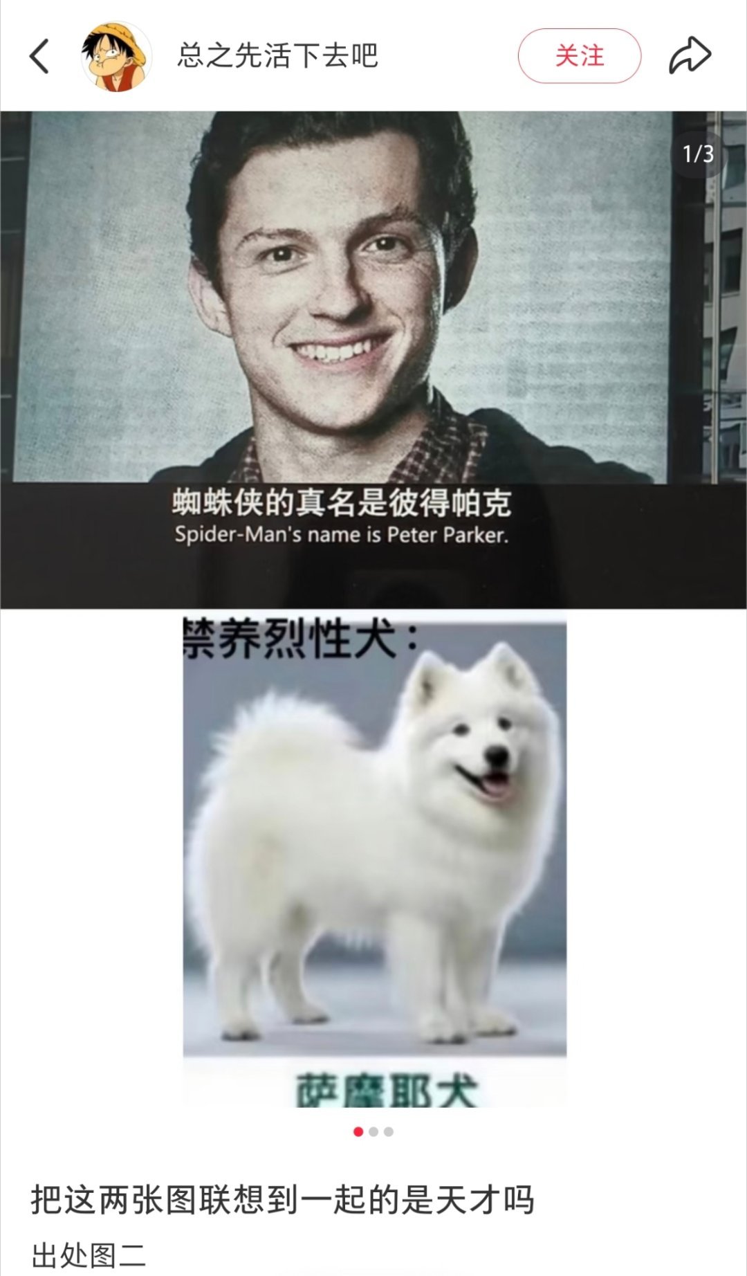被网友骂的最狠的话也只是“看到飞机降落会鼓掌的白男”，我们小蜘蛛怎么看也不是个坏人呀！完全一个萌脸男…#蜘蛛侠##荷兰弟# ​