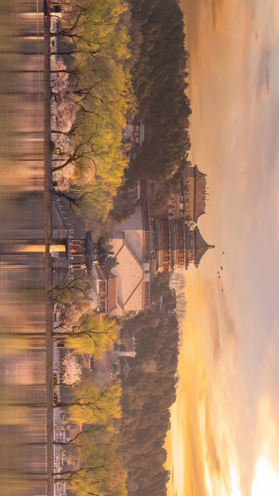 我花了三年，拍到了北京这🔟处春日盛景…