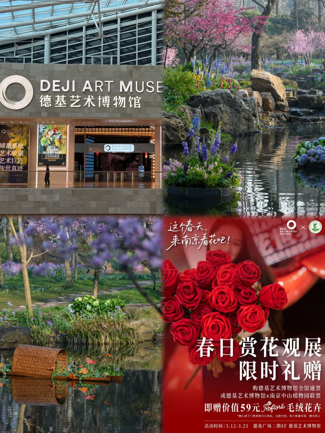 3月抱走南京春天｜从莫奈花园到莫奈真迹