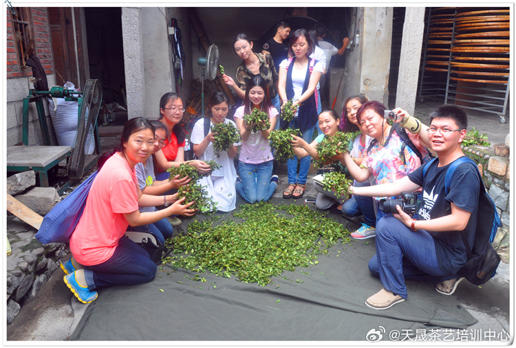 广东茶艺师培训全攻略｜坐拥全国茶叶集散地，学真茶何必困在本地速成班广东...