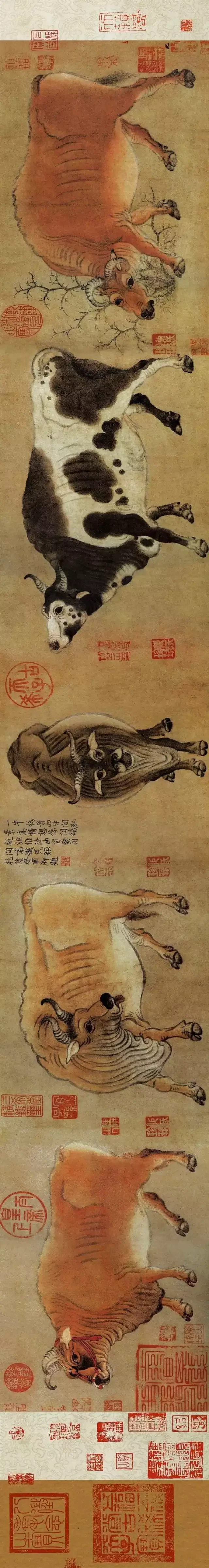 十分钟带你看懂唐代传世名画《五牛图》