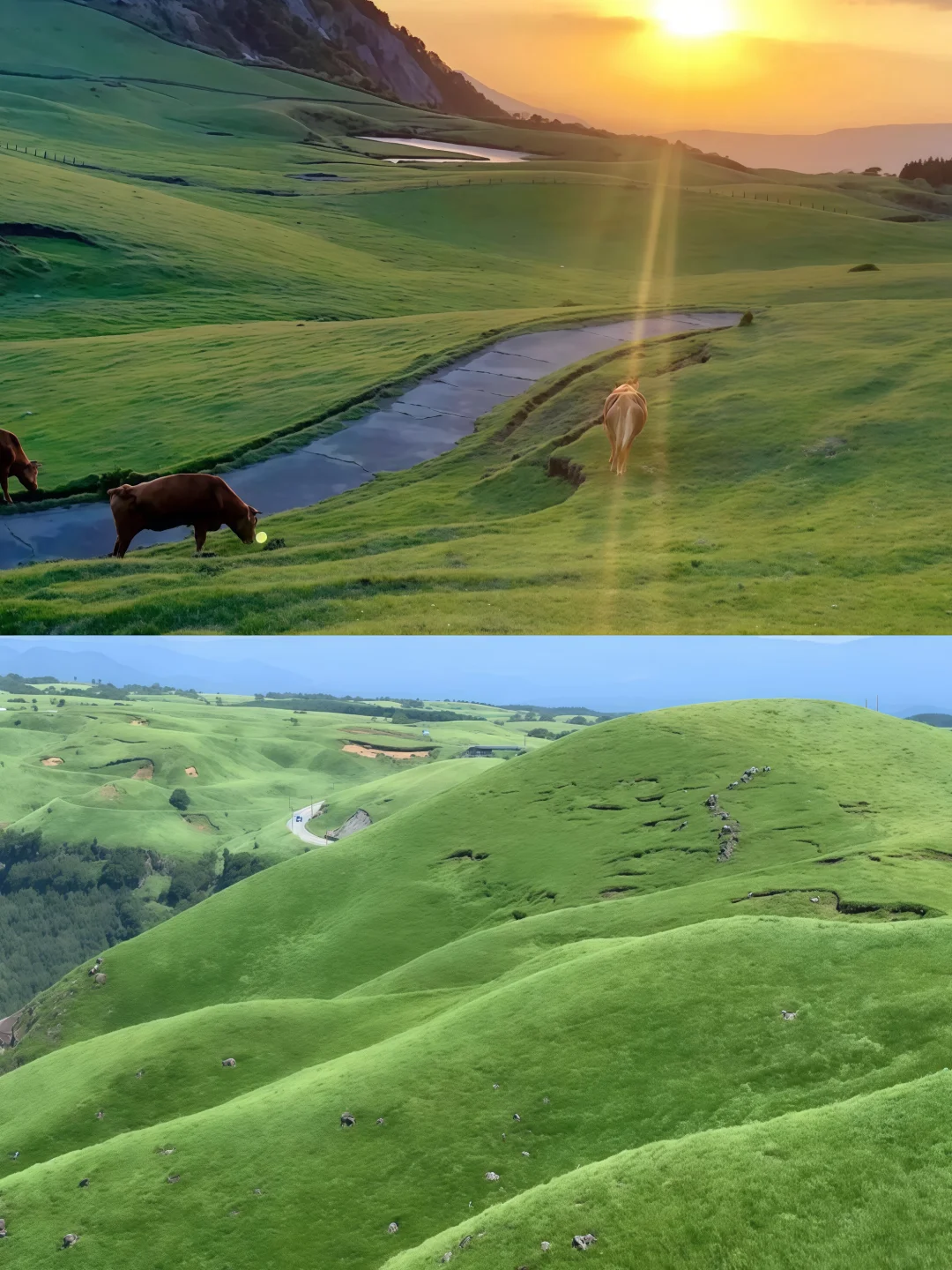 🌋在阿苏山我好像听到了地球的心跳声……