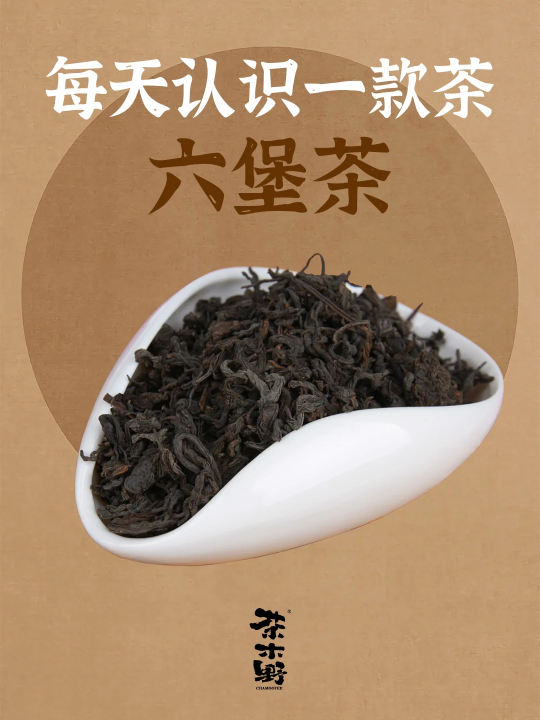 知识分享丨一分钟了解六堡茶