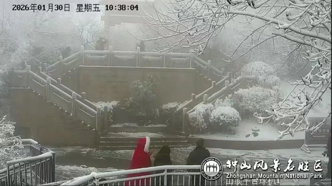 钟山风景名胜风景区～紫金山下雪啦！实时雪景