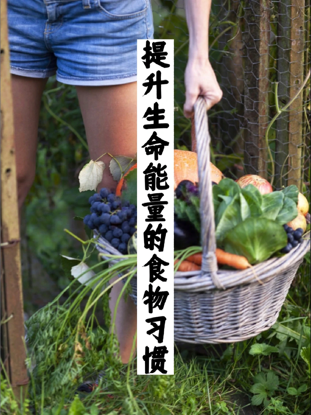 提升生活的食物习惯｜种植自己的疗愈食物