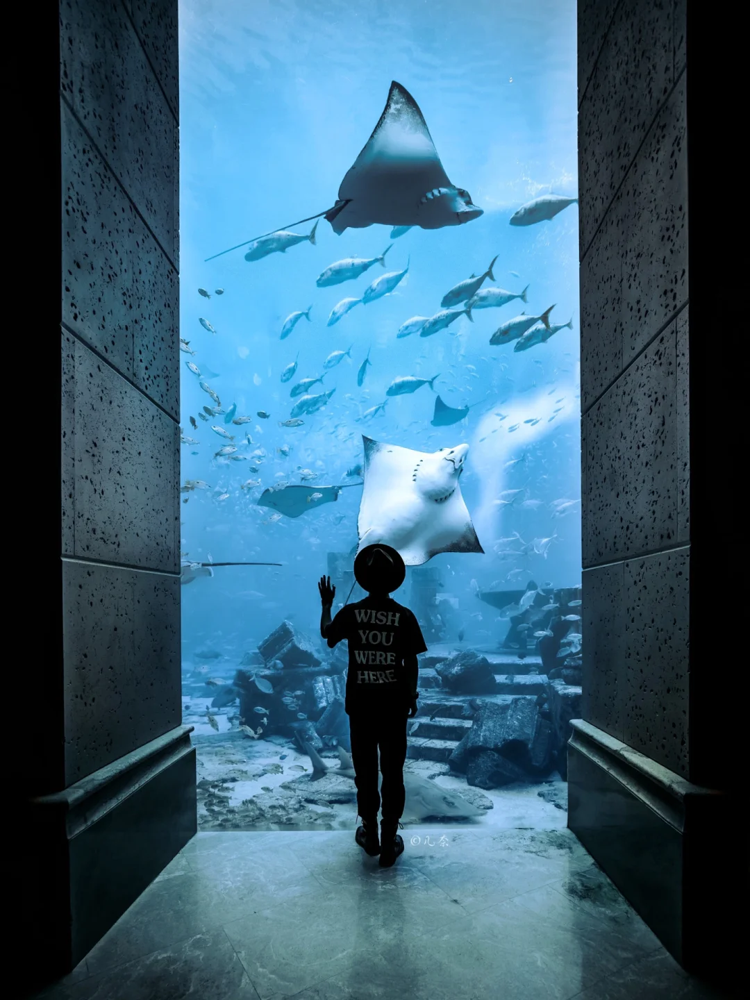 迪拜最火的两座主题乐园🎢拍照游玩详细攻略