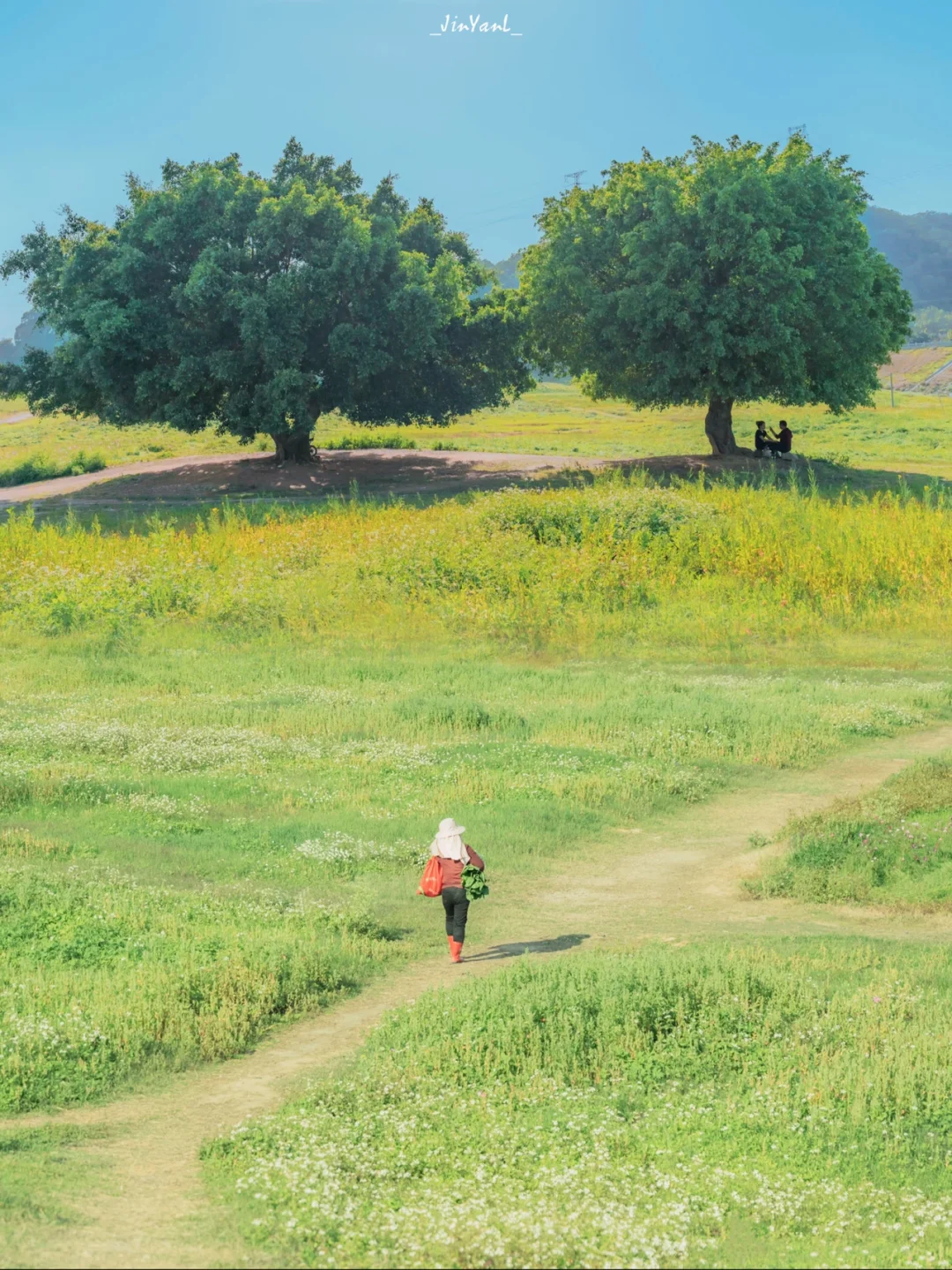 厦门这公园竟然同时有法式浪漫和日系清新‼️