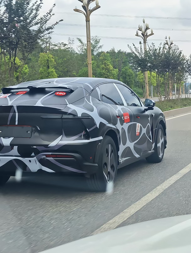 偶遇赛豆汽车！！