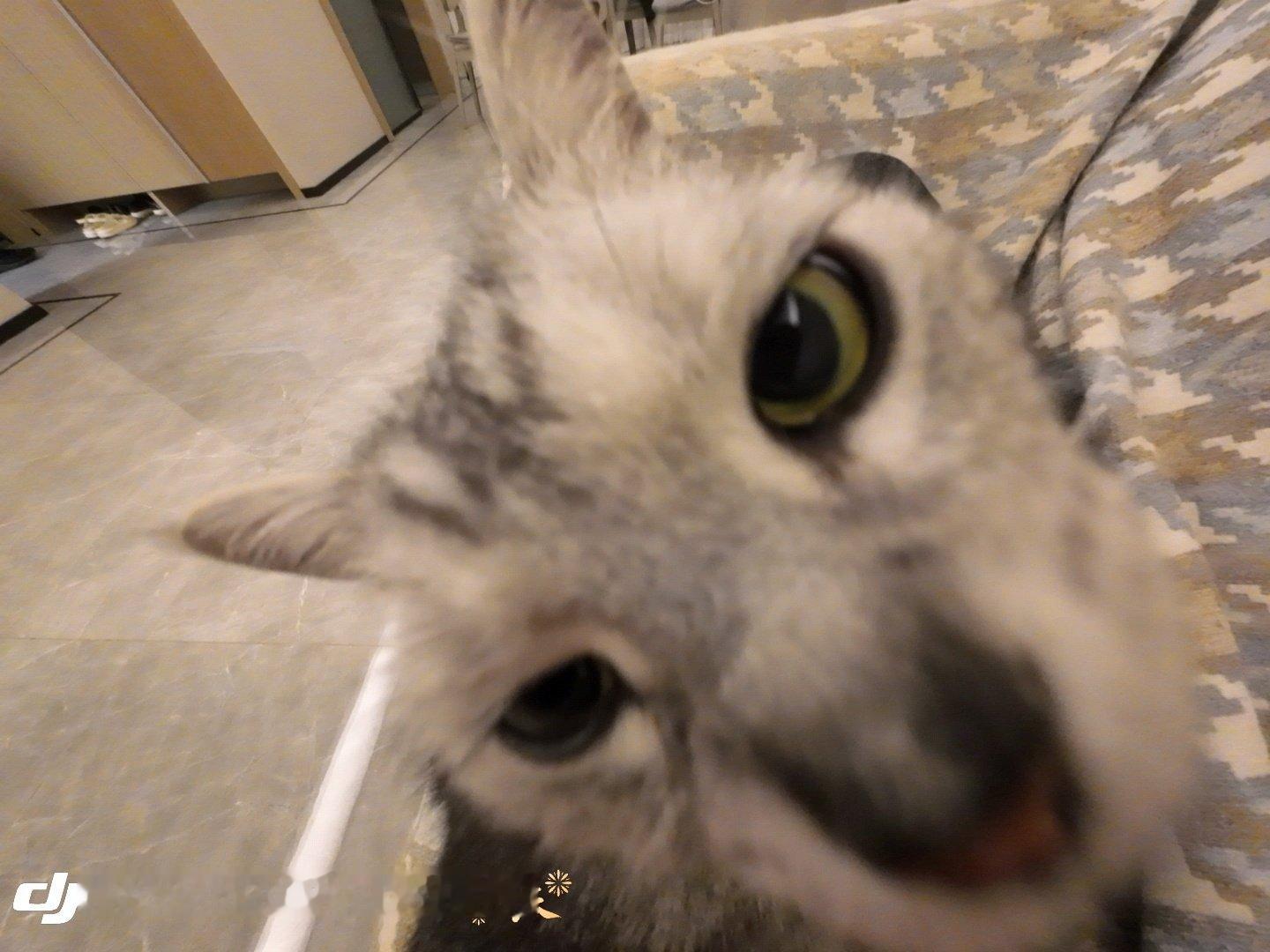 大疆试机！ ​