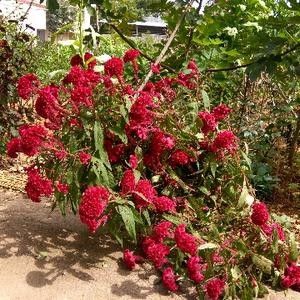 广东宏远下赛季内线直接空出一片菜地，排名掉到十二开外，我一点都不奇怪。...