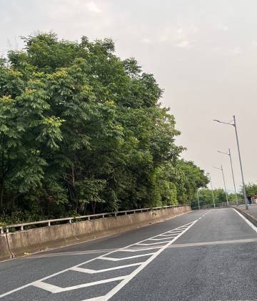 这条沿江路好好看！