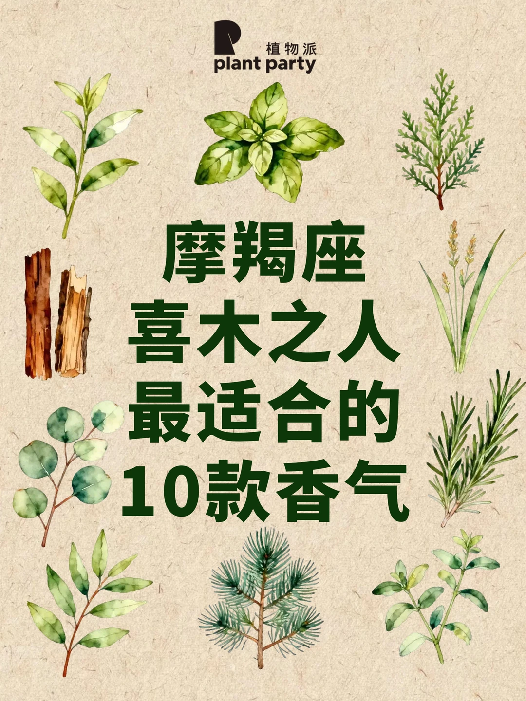 自然疗愈 | 摩羯座喜木之人最适合的香气