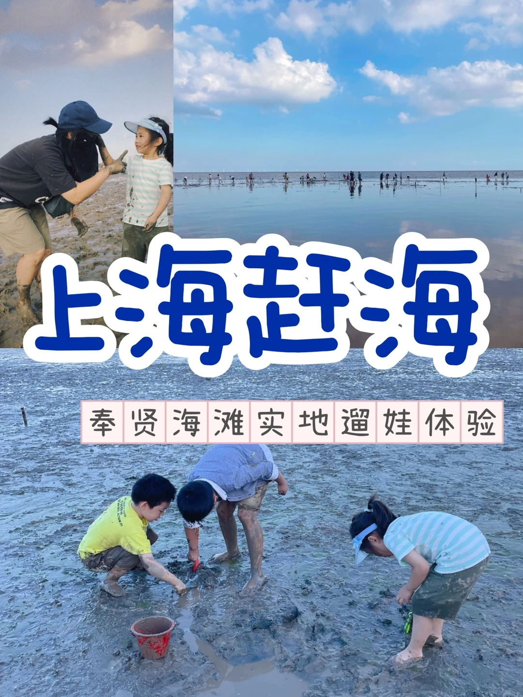 实测攻略| 奉贤海滩，初秋亲子赶海