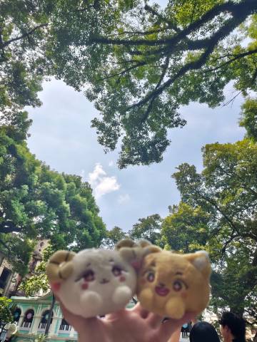 这沙面咋这么难拍