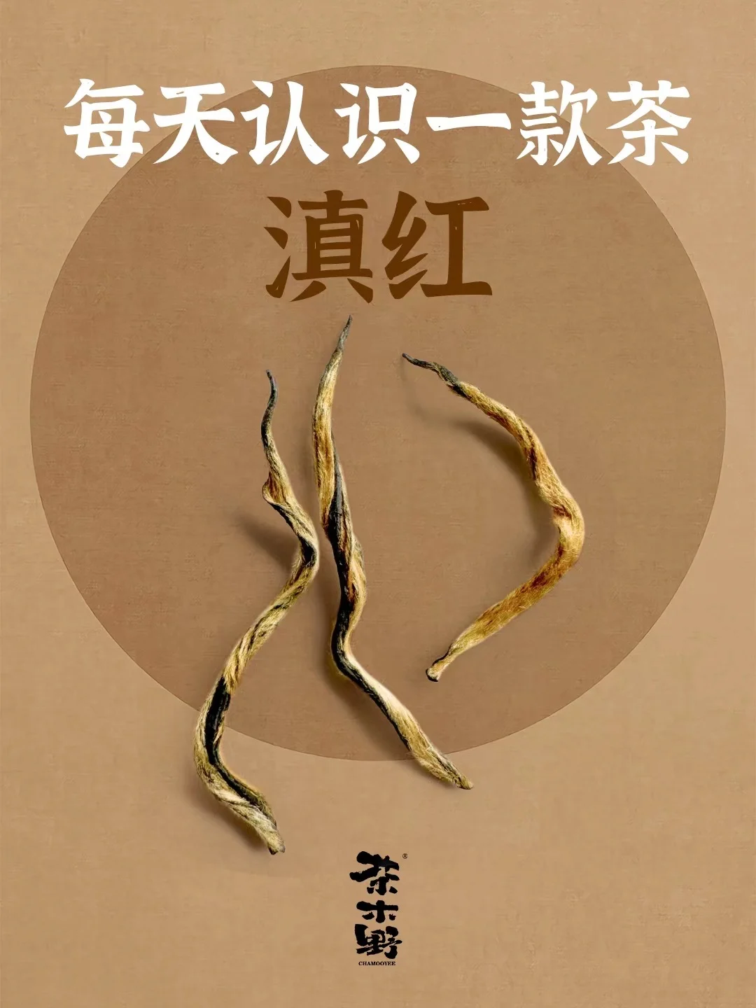 知识分享丨一分钟了解滇红