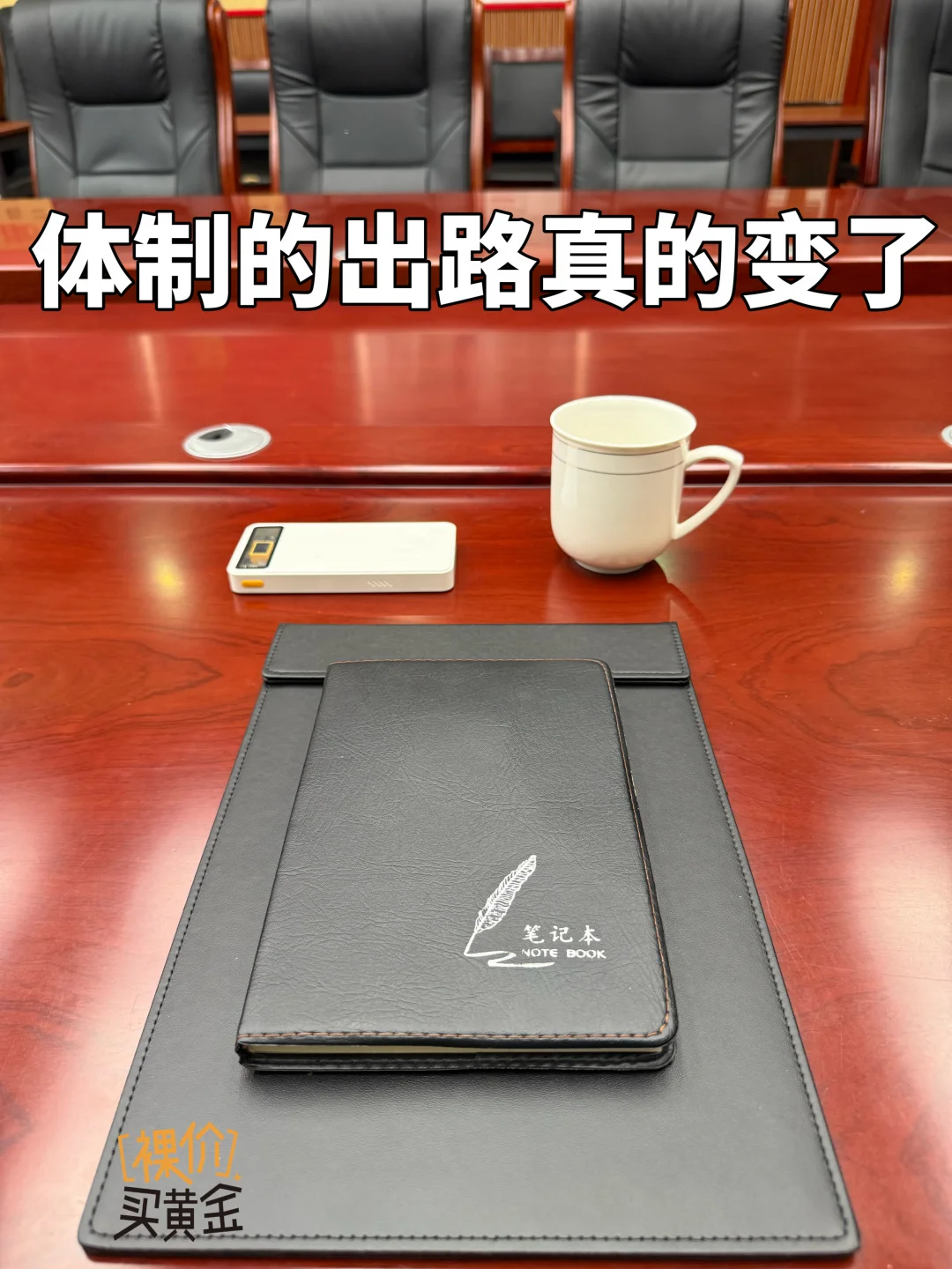 30岁体制内｜黄金血脉觉醒，开始攒钱攒金
