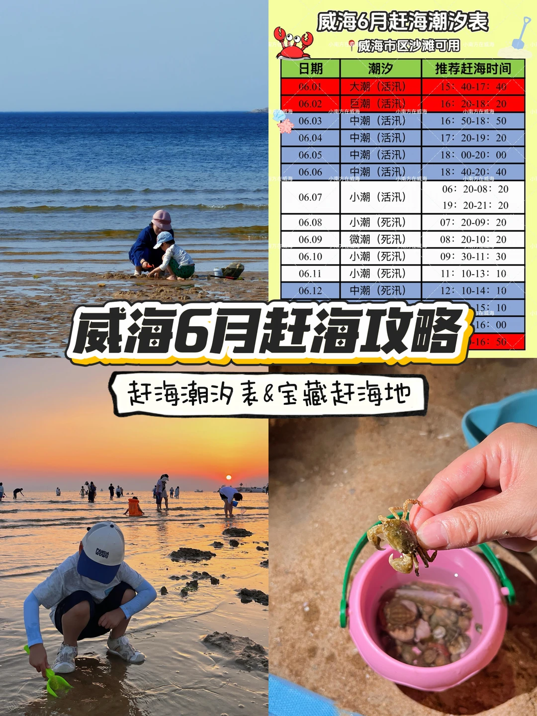 威海六月赶海攻略❗️附潮汐表和宝藏赶海地❗️