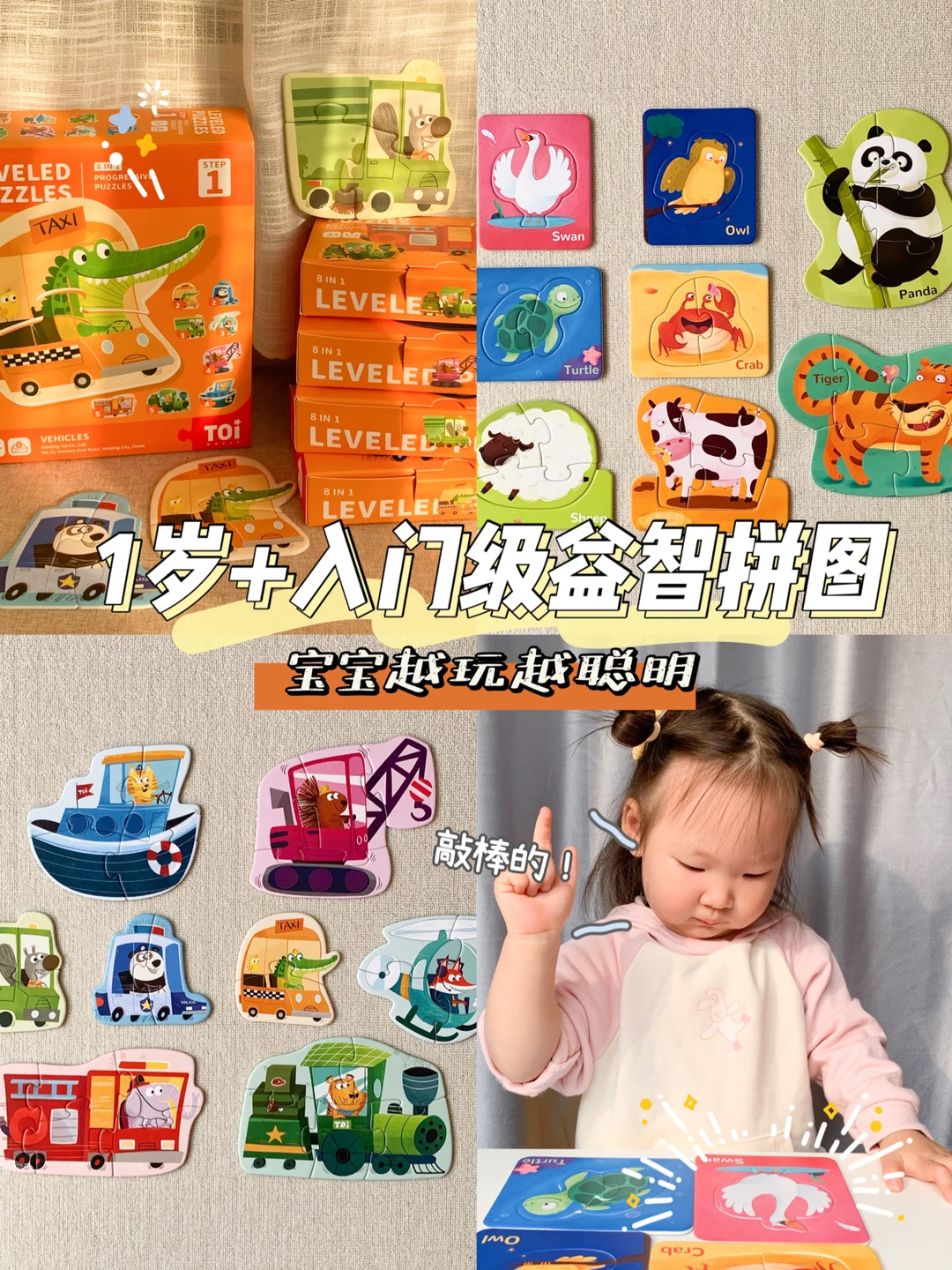 宝宝玩具｜1岁+入门级益智拼图🧩附玩法