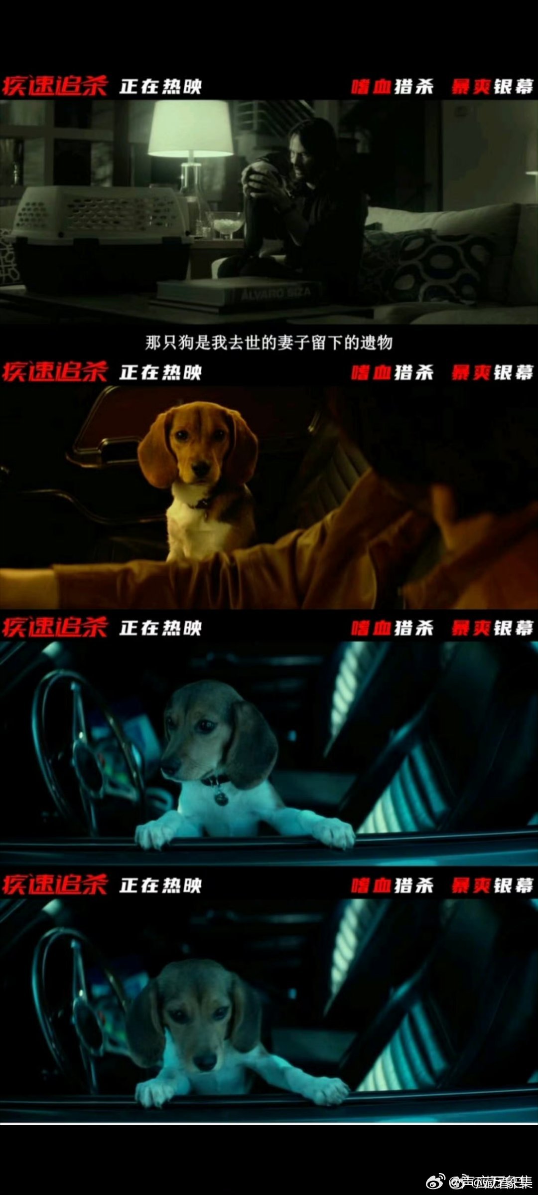 #疾速追杀今日上映##疾速追杀一刀未剪# 系列起点就这么能打，看完首作，已经想接着补完整个疾速追杀系列。 ​