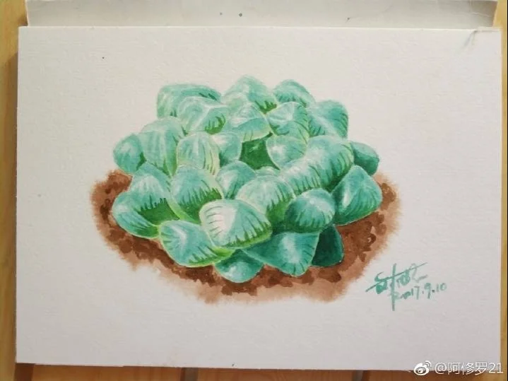 水彩。直径4厘米的雨露。