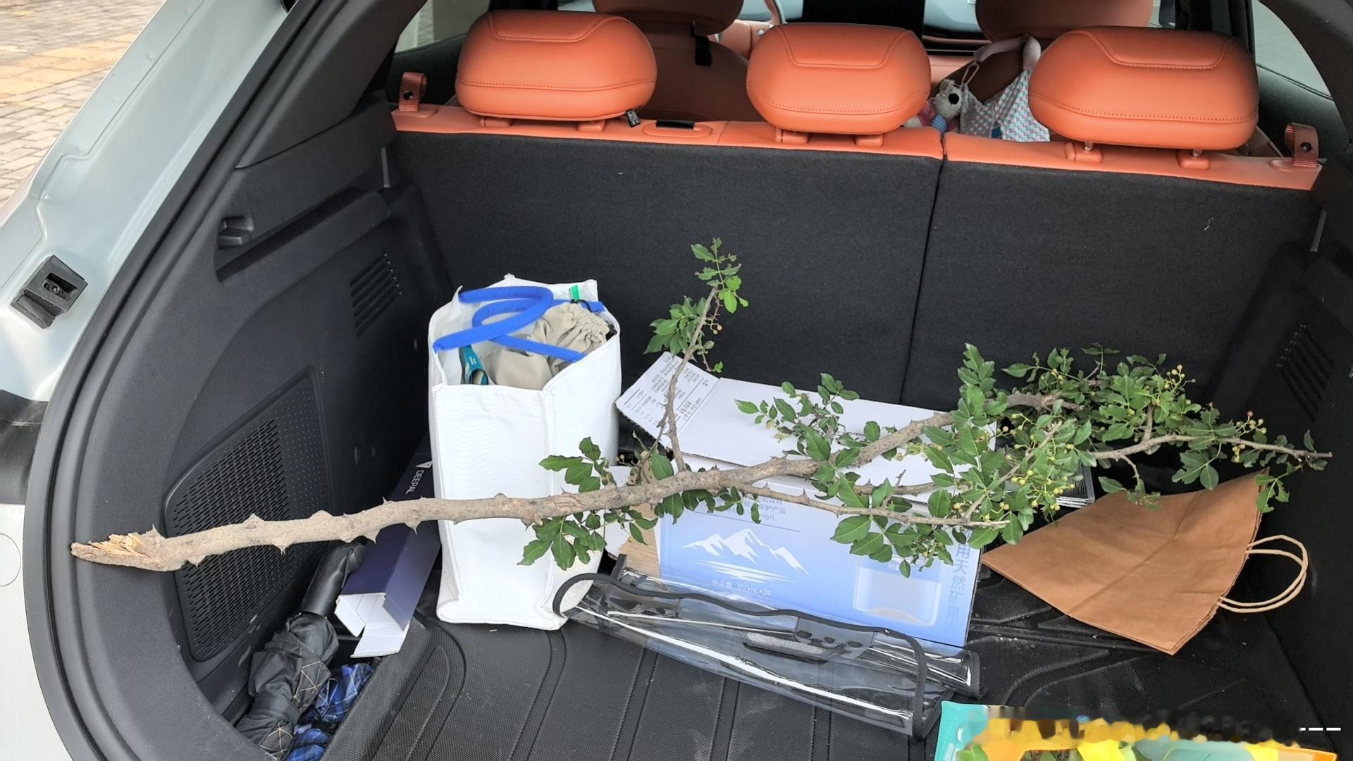 深蓝s05用车体验喜欢这款车的内饰，颜色很亮，拍照很好看。车内空间很大...