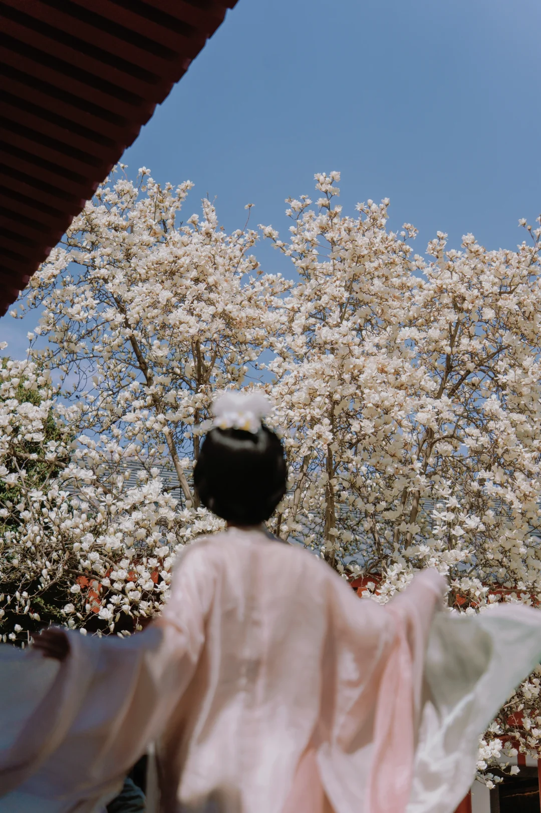 我拍下了大慈恩寺的春和景明📸附机位