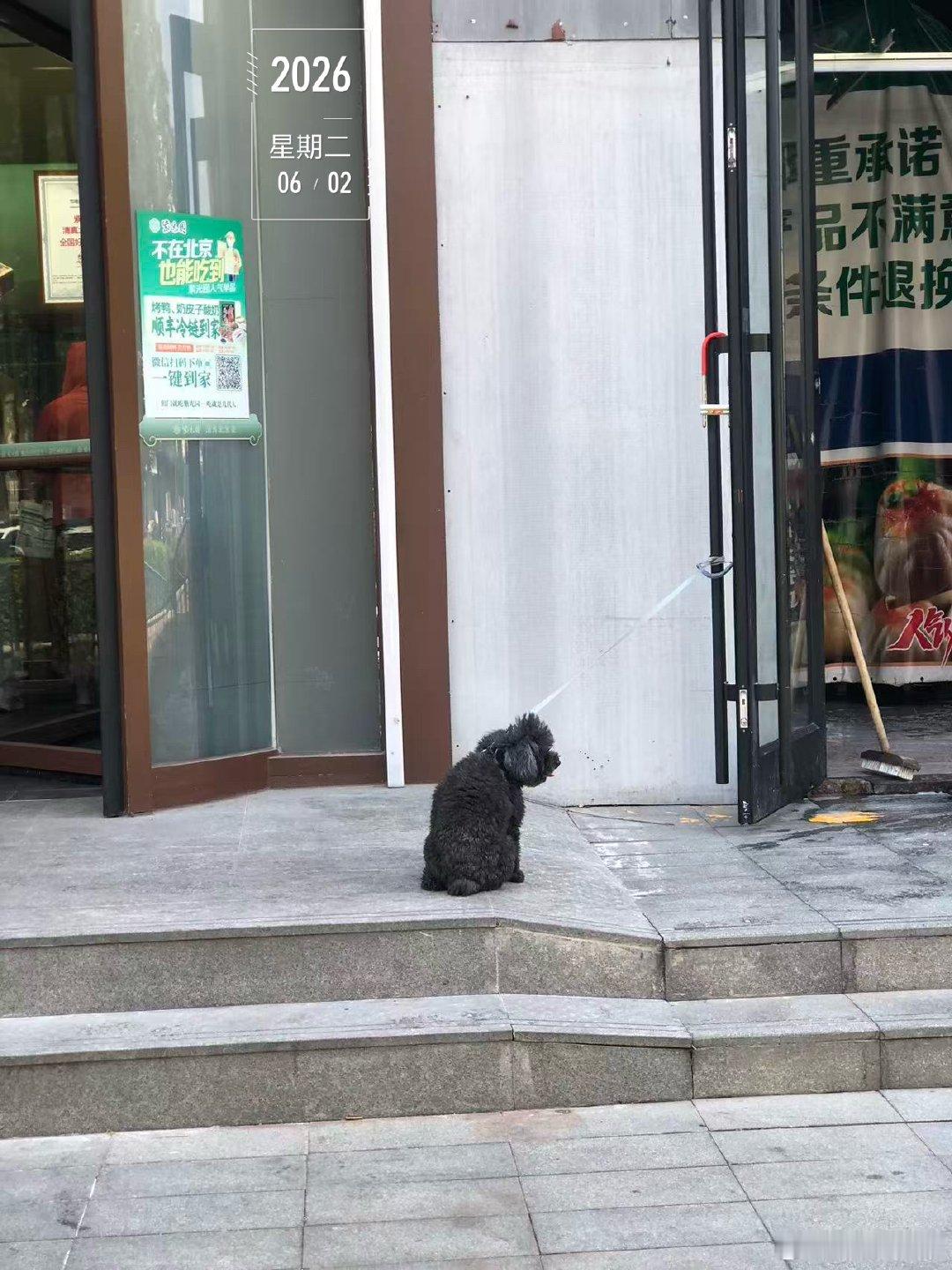 二喵喵喵～～～晚上好呀，今天过的开心吗？咱们这里实在是太热了……都已经...