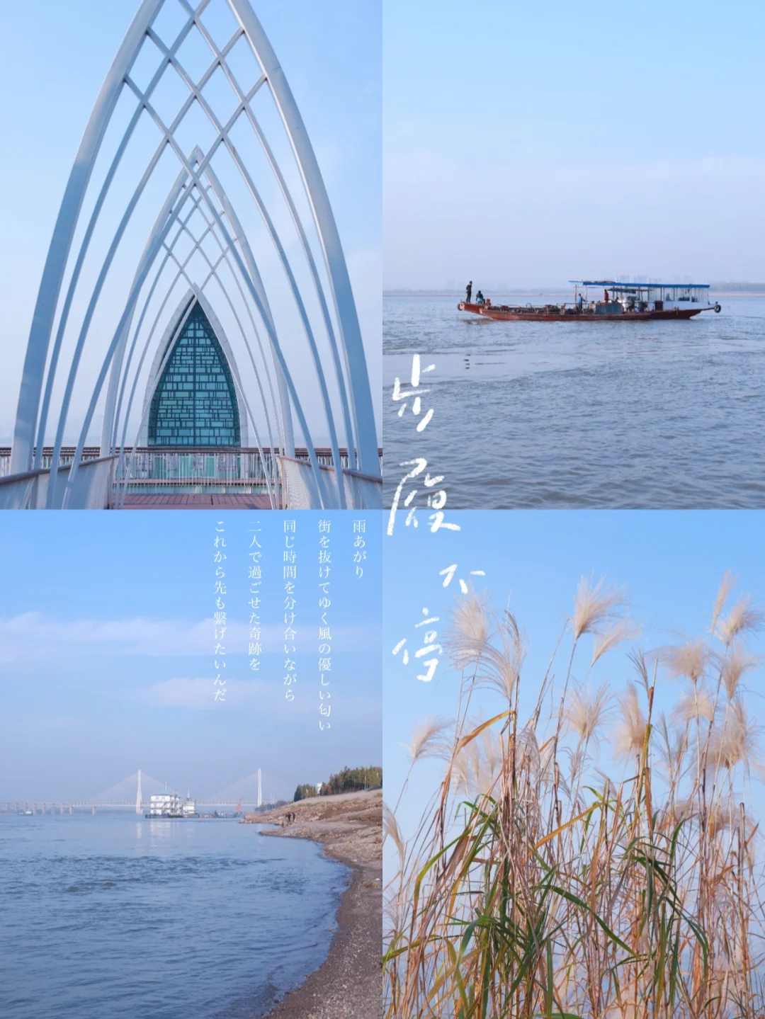 武汉拍照/绝美芦苇、长廊和海走进童话里